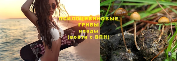 тгк Хадыженск
