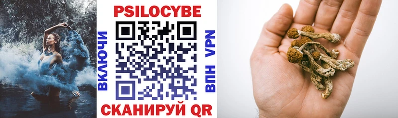 Псилоцибиновые грибы мицелий Оренбург