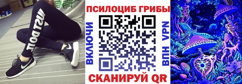 наркота  Оренбург  Псилоцибиновые грибы прущие грибы 