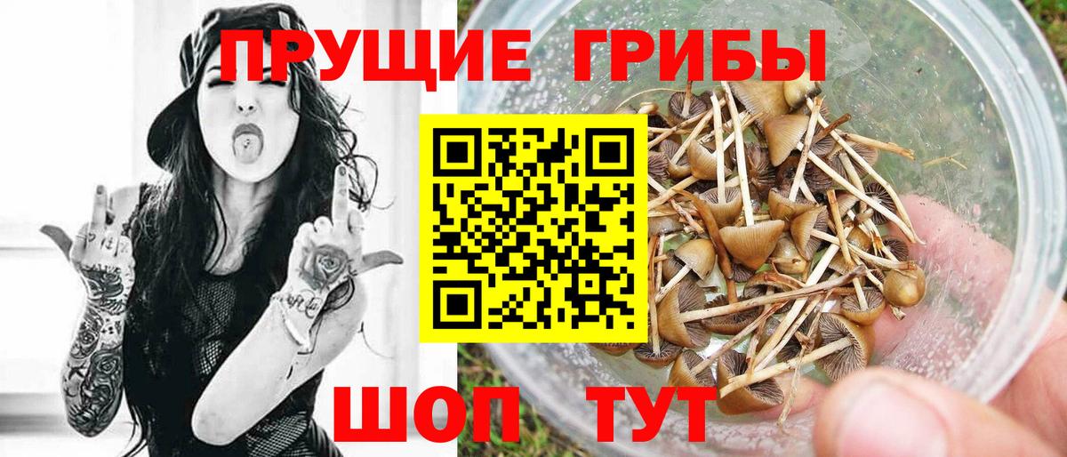 Псилоцибиновые грибы мицелий  Псилоцибиновые грибы мухоморы  Вход с VPN  Оренбург 