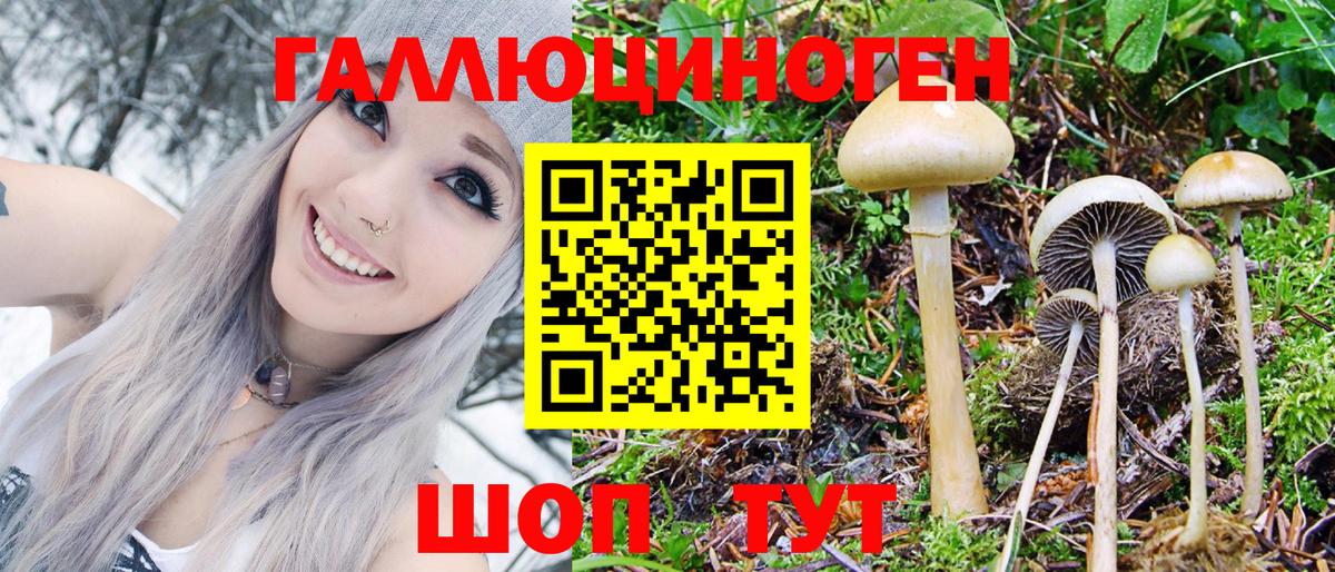Псилоцибиновые грибы мухоморы Оренбург