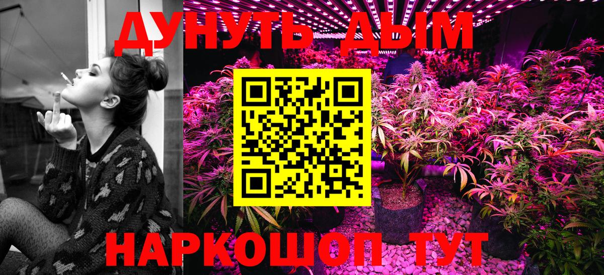 Канабис гибрид  Каннабис семена  МАРИХУАНА Bruce Banner  Бошки Шишки THC 21%  Вход с VPN  Оренбург 